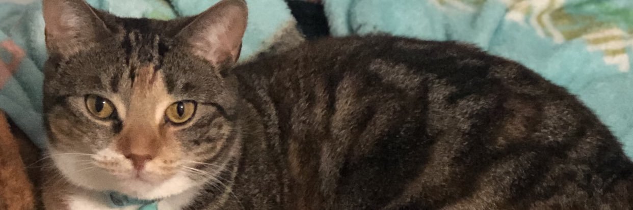 pupmami99's profile banner image
