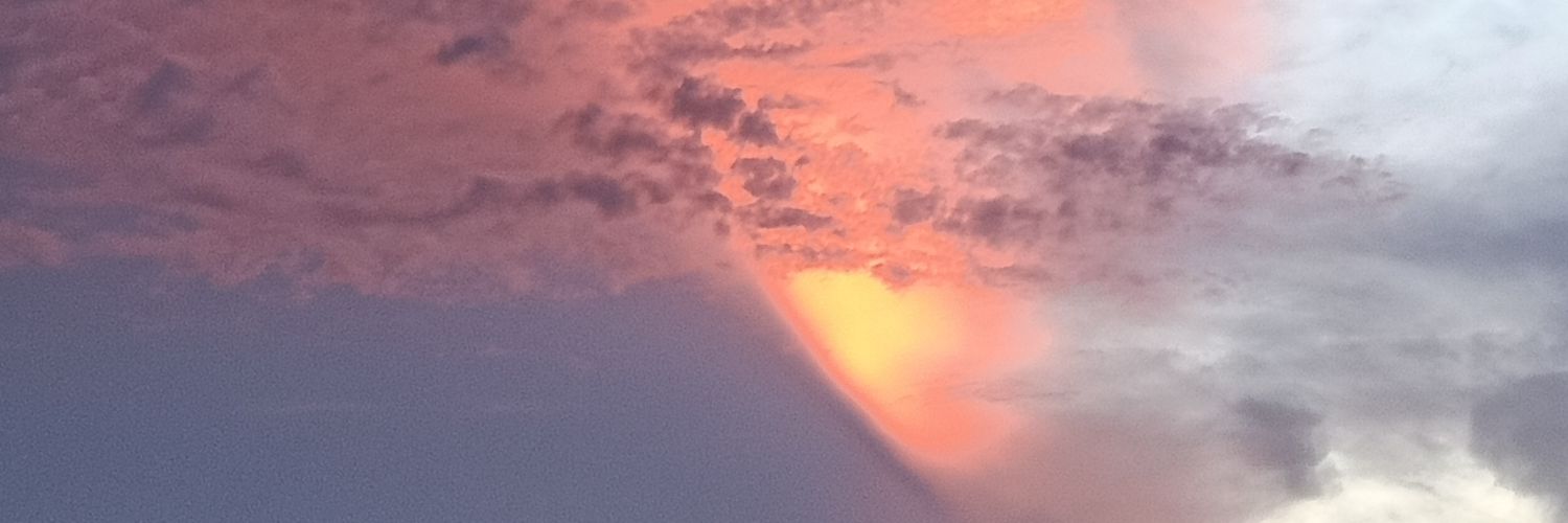 火 i'm JANE / Slow banner