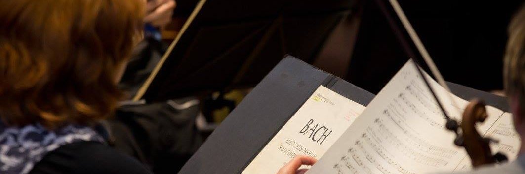 nicorescu laurentiu banner