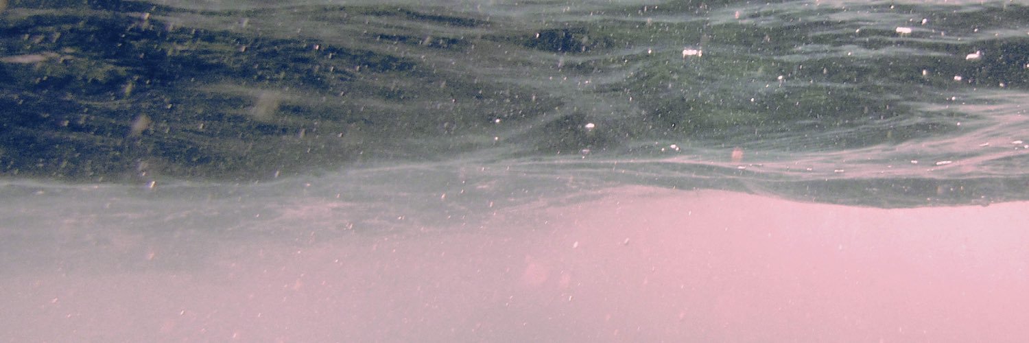 novdecmusic's profile banner image