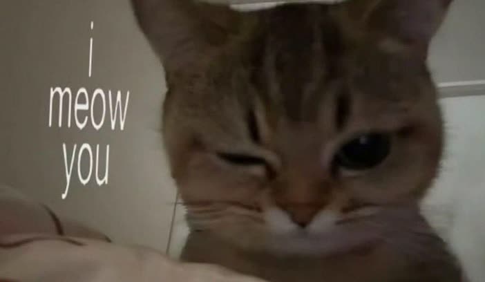 viccherry0odicx's profile banner image