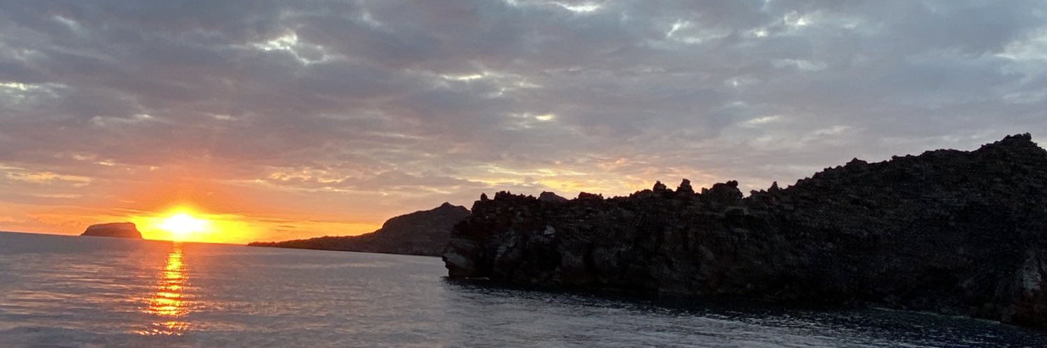 amandanope's profile banner image