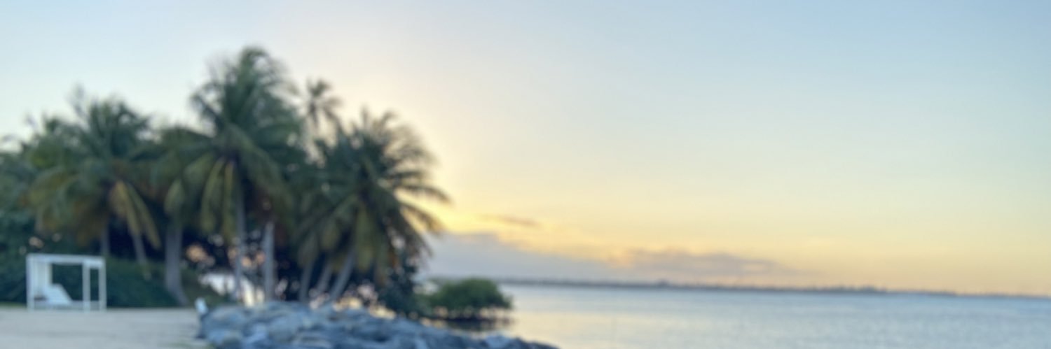 iamtheraj's profile banner image