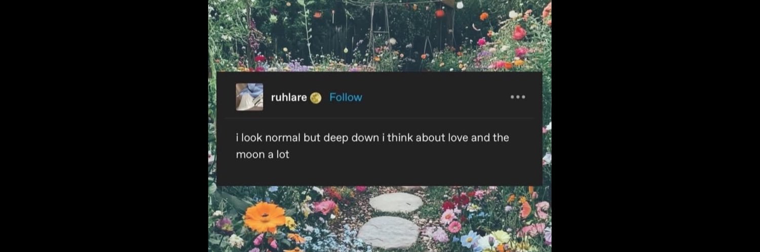 jonahbohn's profile banner image