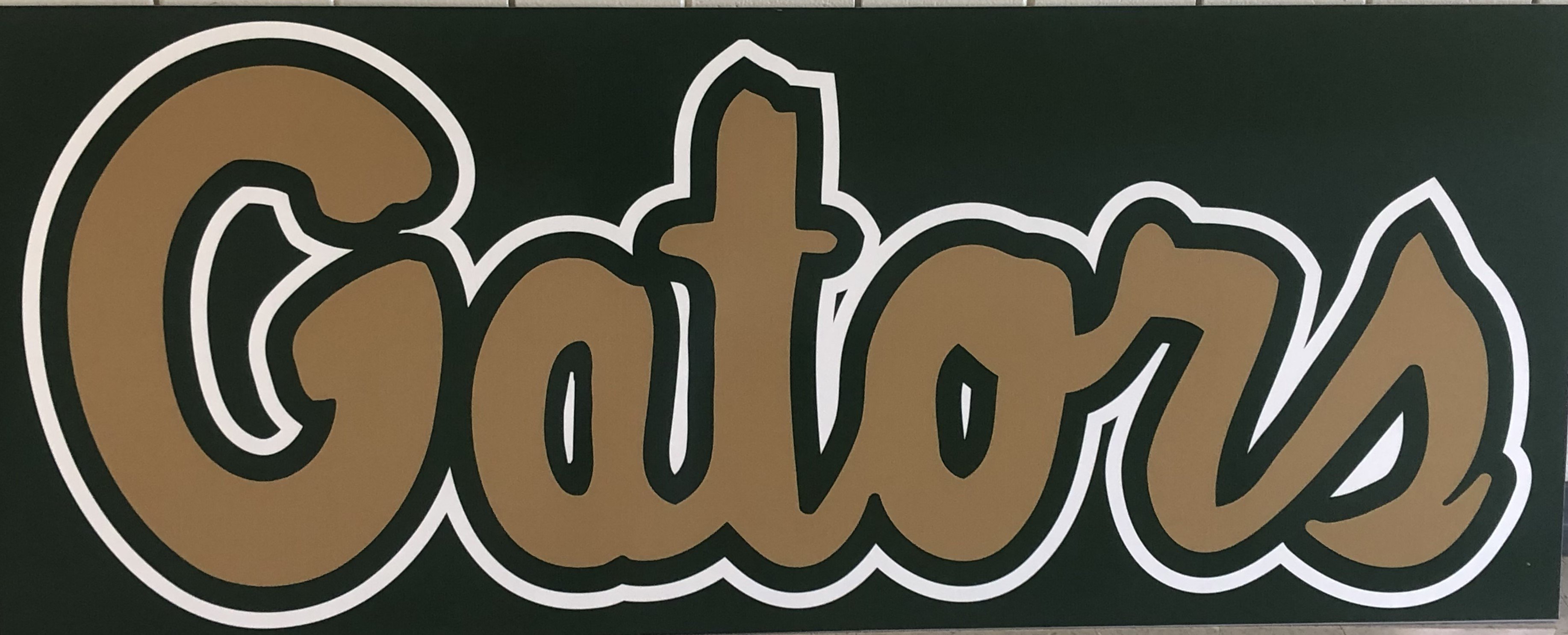 Ware County High School banner