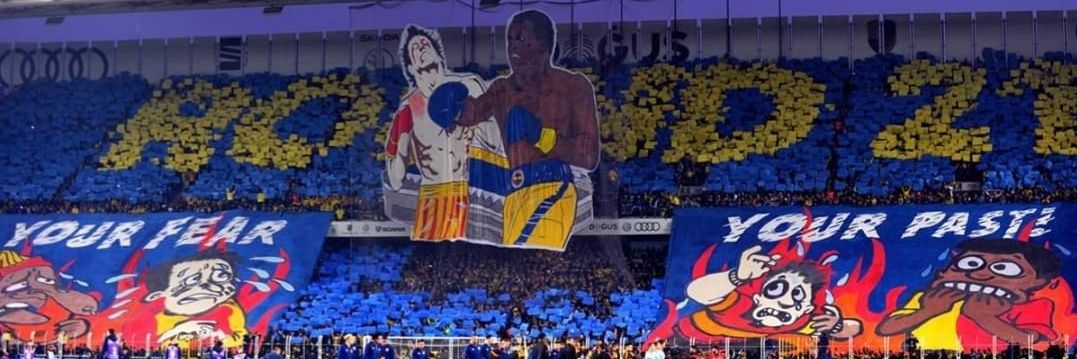 Fenerbahçe Republic banner