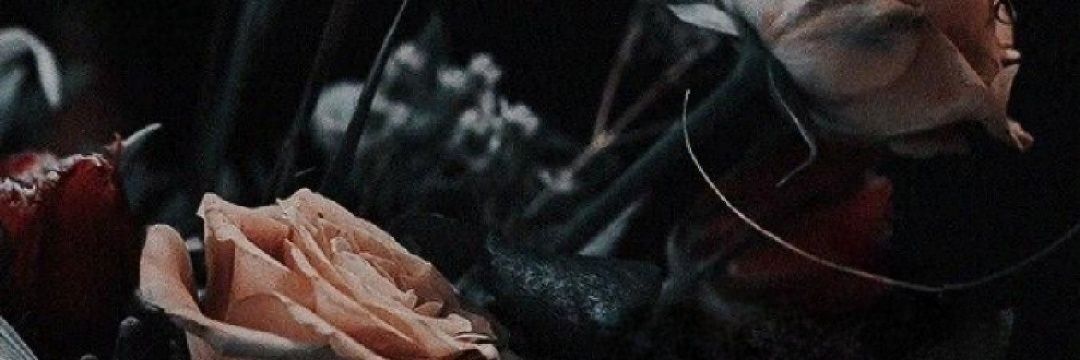 jennaellen330's profile banner image