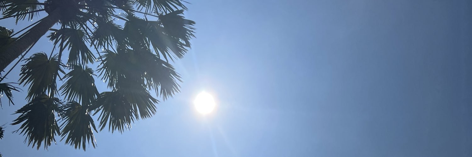 ivamangles's profile banner image