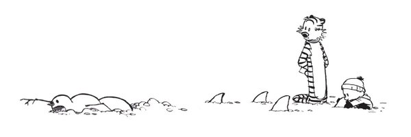 BlogChicolini Profile Banner