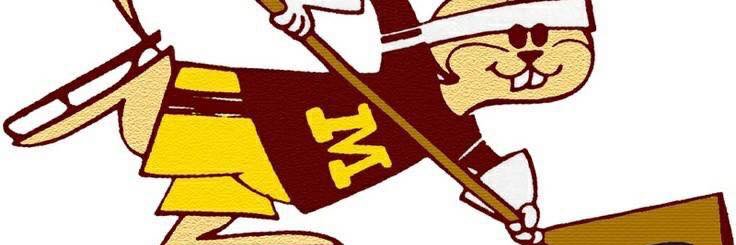 FrozenRodent's profile banner image