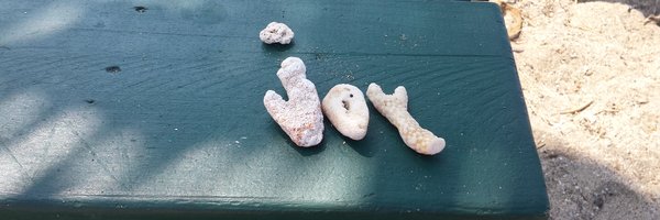 CherylProWriter Profile Banner