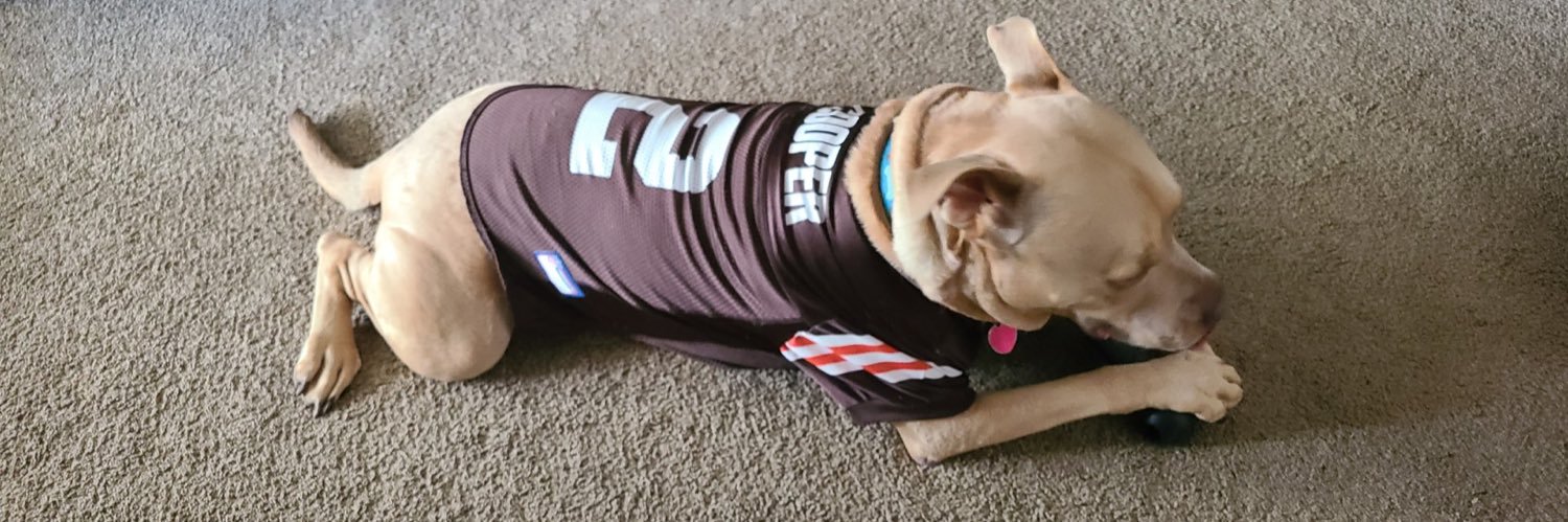 Bannanniiee's profile banner image
