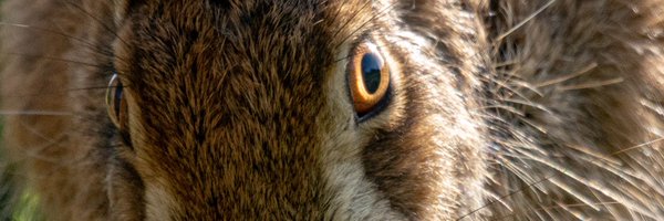 SW_PhotoNature Profile Banner