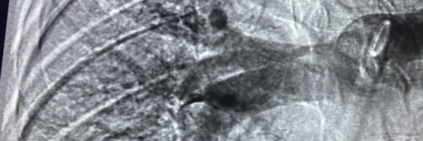 t_intheleadcoat Profile Banner