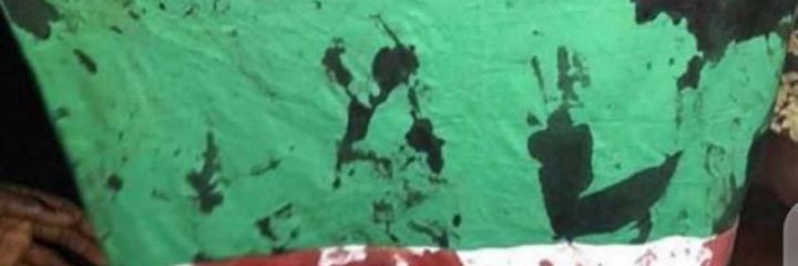 pappy NEDU🍁🇨🇦👨‍🍳's banner