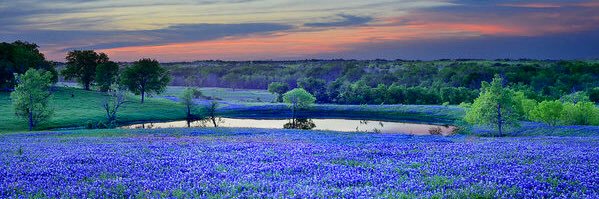 R2TXS's profile banner image
