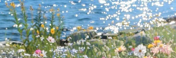 Hubinha ✭ | 🩸 banner