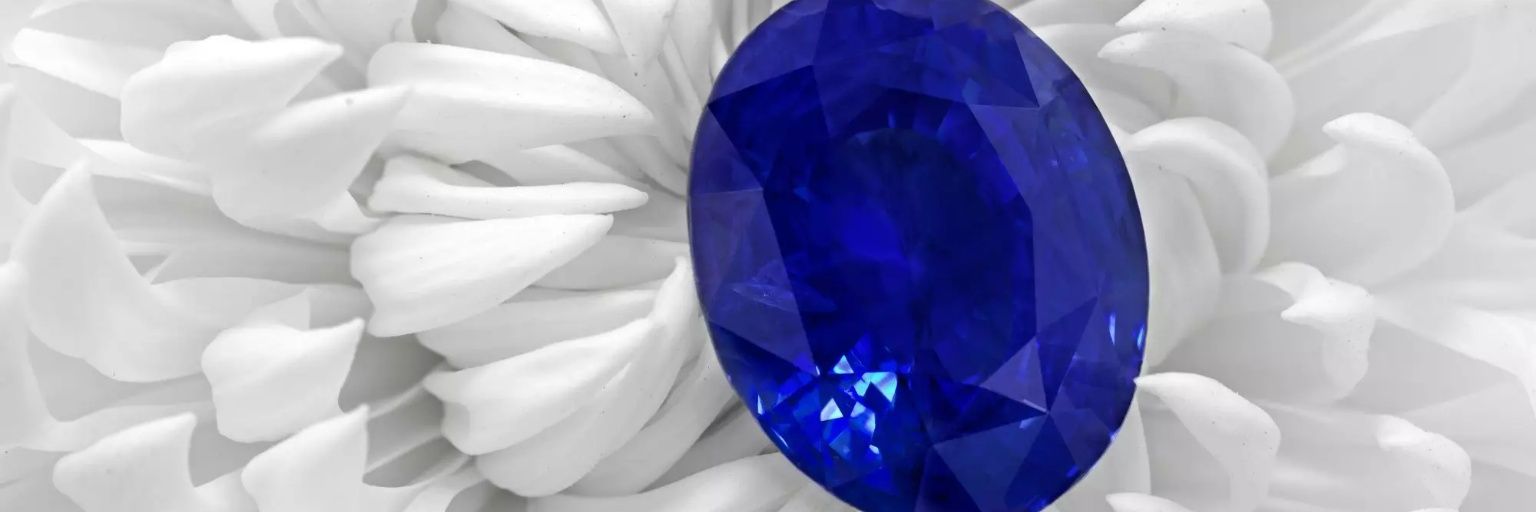 mushanstrategy's profile banner image