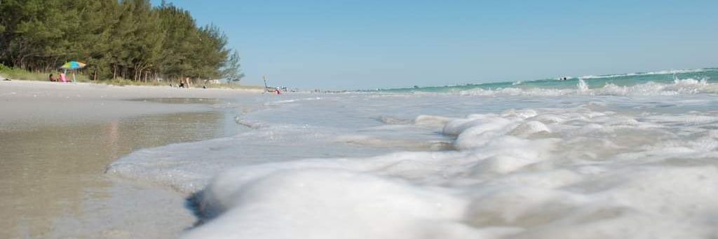 🇺🇲Go-Go's Guy🇺🇦 banner