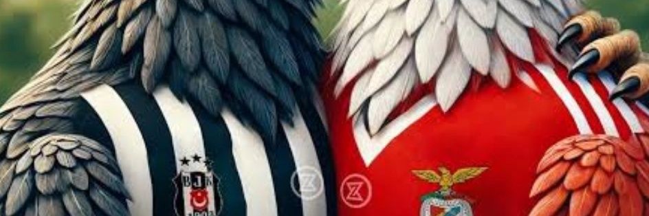 ademgezik's profile banner image