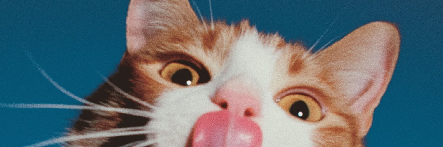 Johnny Quach 🏓 banner