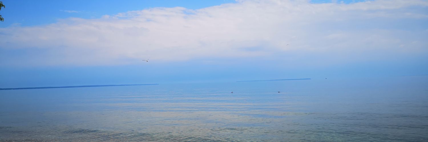 Gaisha Oralova banner