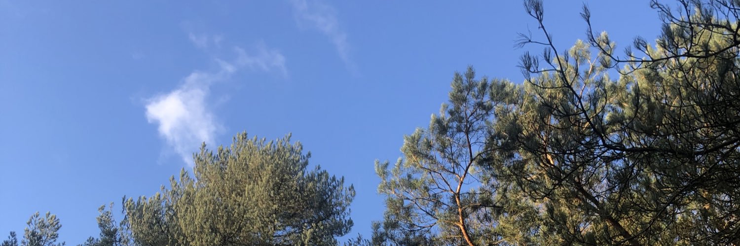 apsgig12345's profile banner image