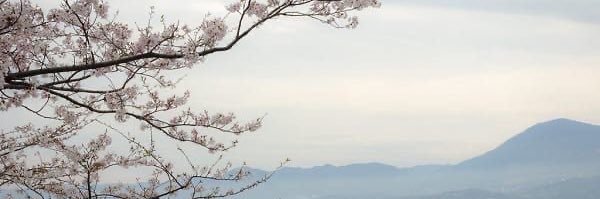 🐙 @ after dm! banner