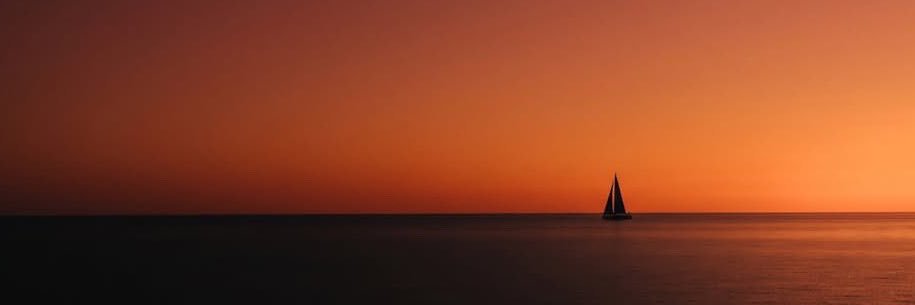 AdelaideBrasil's profile banner image
