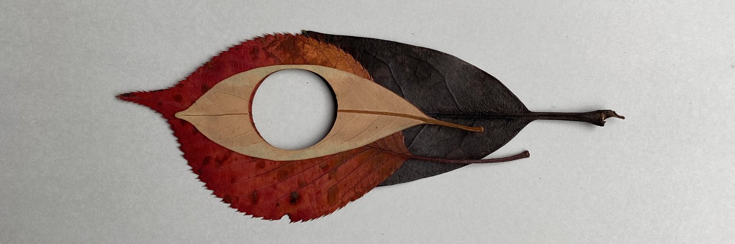 Haruka Misawa banner