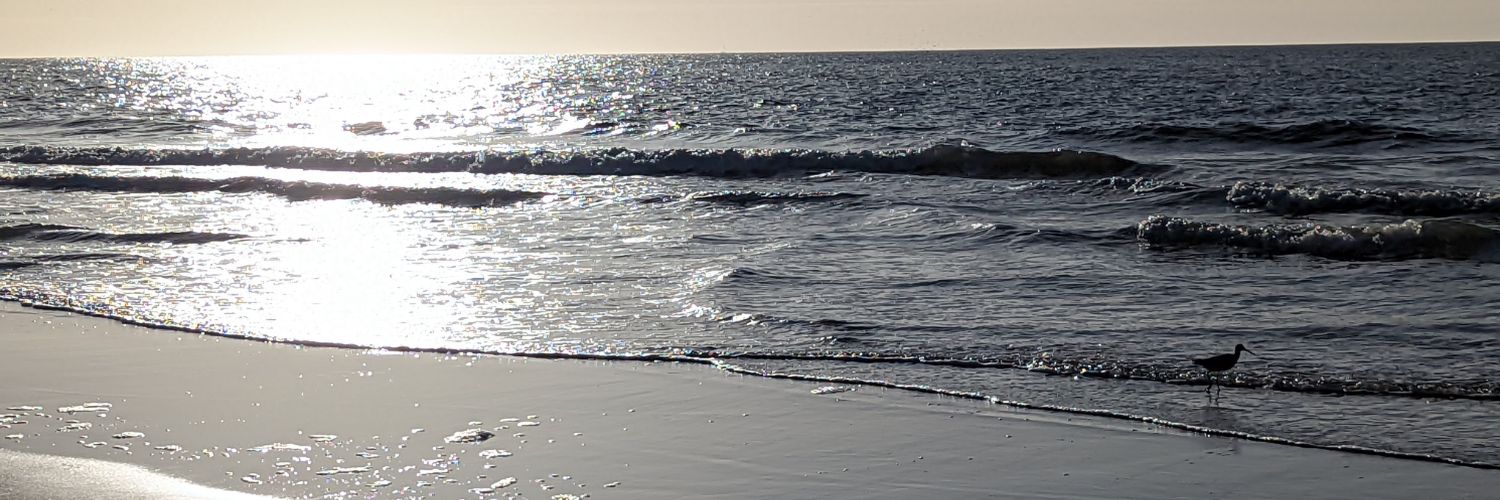 nelsar715's profile banner image