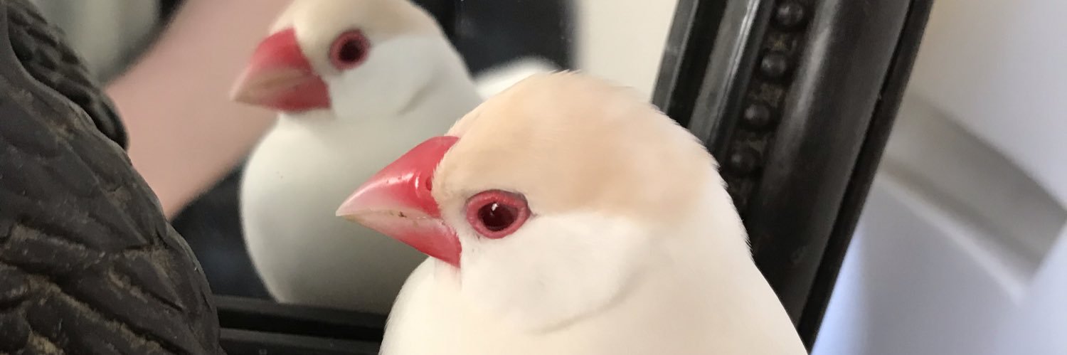 KAIKAI629's profile banner image