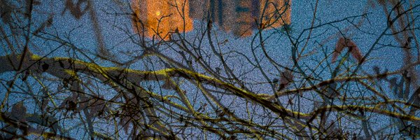 reiniscouple Profile Banner