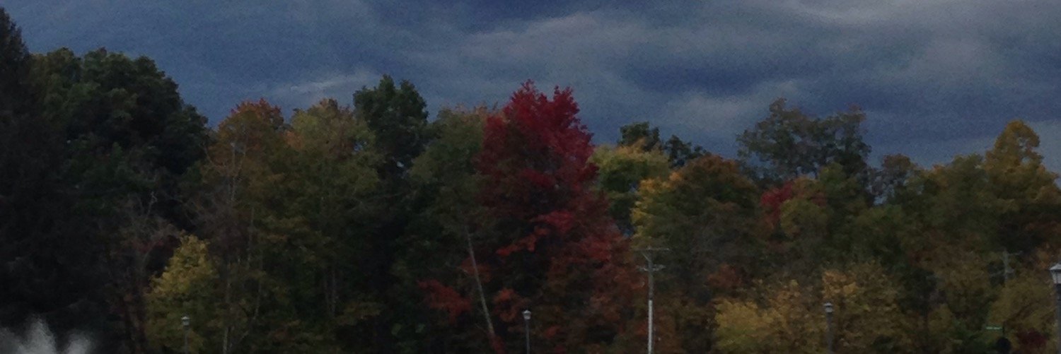 chelsheath4's profile banner image