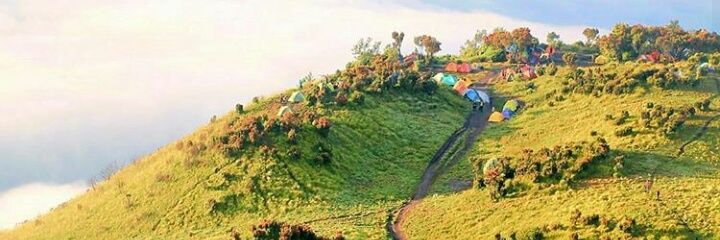 Riy_Innd's profile banner image
