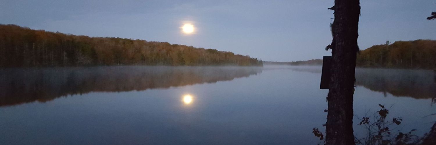macgregordm's profile banner image