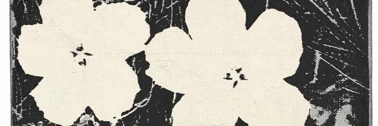 danizickl's profile banner image