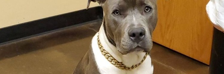 seghetto_99's profile banner image