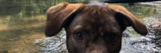 C_Robinette14's profile banner image