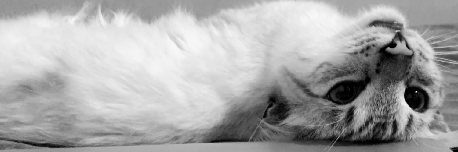 Andrearugamas_'s profile banner image