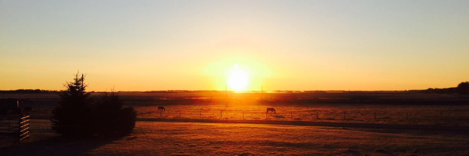 Mioheai &. Esrhat banner