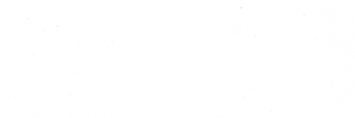 danaa___a's profile banner image