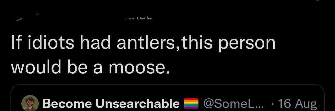 Become Unsearchable 🏳️‍🌈's banner
