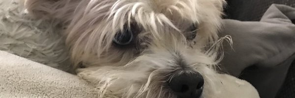 CmngNg Profile Banner