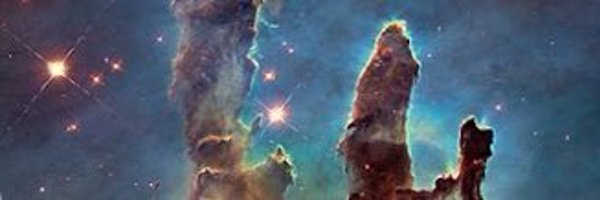 forceps21 Profile Banner