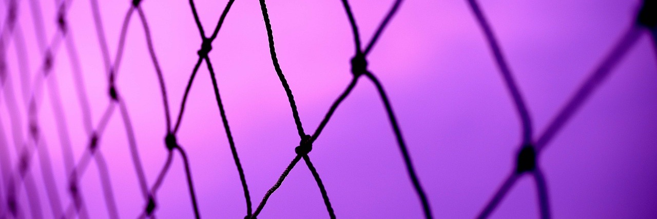 Ψ 🇦🇹🎡🌭 banner