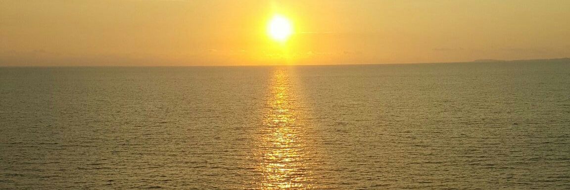 vickonia's profile banner image