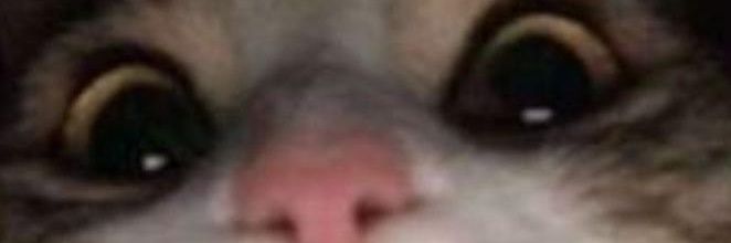 Wayne1969Scott's profile banner image