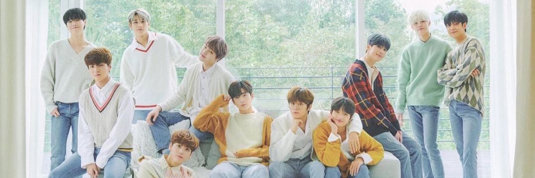 ℂ𝖨𝖭 🦋 banner