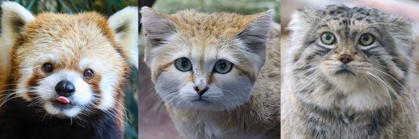 suna_manuru Profile Banner